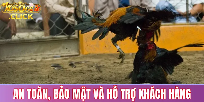 Đá gà Xoso66: Trận đấu trực tiếp, cược hấp dẫn 24/7 3 An toàn, bảo mật và hỗ trợ khách hàng
