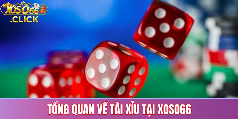 Tài xỉu xoso66: Cách bắt cầu và mẹo đánh thắng cao 2025 2 Tổng quan về tài xỉu tại xoso66