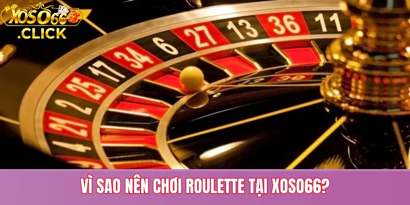 Roulette – Trải Nghiệm Cờ Bạc Đẳng Cấp Tại Xoso66 3 Vì sao nên chơi Roulette tại Xoso66?